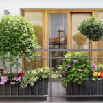 Potted flowers on the terrace