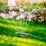 Watering the lawn after fertilising