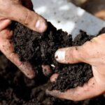 Enriched soil