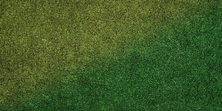 solution for a dried-out lawn